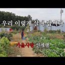 개달음(마음을 바꾸면 세상이 변하기 시작한다)//80세 이후 대부분 노인이 짧은 수명을 사는 5가지 이유 이미지