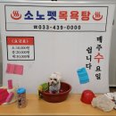 스위트펫 이미지