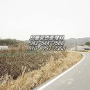 망성1농장 네이버블로그