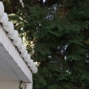 나의 파란만장 결혼식후기,,, / 예신님들 필독,,, (웨딩업체 내돈내산 솔직후기)