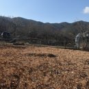 길농원 이미지
