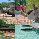 서울대공원 동물원 아이랑 가볼만한곳 피크닉🍱 코끼리열차(주차장/입장료/지도/입장권할인) a zoo 후기