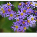 일기일회 이미지