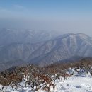 안성 국제 행정사사무소 네이버블로그