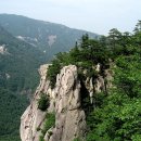 청옥주 이미지