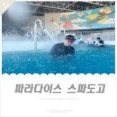 (주)파라다이스포인트 | 아산 파라다이스 스파 도고 할인 l 겨울 온천 부부데이트ㆍ아이랑 가기 좋은 곳