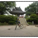 나루터셀프세차 | [자전거친구 : 평화누리길] - 경기도 문산역, 임진각 평화누리공원, 장산전망대, 화석정, 파평면...