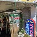 부산 여행코스 추천! 영도 와글와글 먹방 후 실탄관광사격장 짜릿한 체험후기