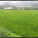 복열농장 이미지