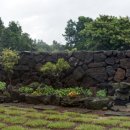 아라민박 이미지