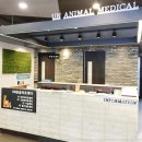 큰동물병원 이미지