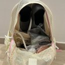 인조이스포츠 | 템 추천 | 유머러스한 고래 샤워박스 1L | 움파 메쉬 백팩 | 이케아 렌사레 | 스윙앤슬라이드 스포츠타올