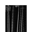 대나무골 이미지