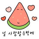 키미노미카타