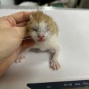 봉곡동042 이미지