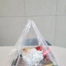 맥스치킨&피자 이미지