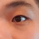 레이스, 건장한 남자가 써본 쌍커풀 레이스 테이프 후기, 홈쇼핑에서 인기 많은 홀리미코 쌍커풀 레이스...