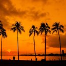 우쿨렐레 (A) 이미지