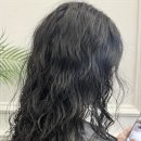 메이에르 이미지