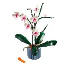 보태니컬 이미지