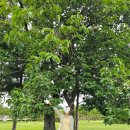 270-4580 | 발편한 샌들 추천 아디다스 오즈웨이브 실버 사이즈 내돈내산 후기