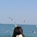 경주열린약국 이미지