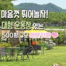 페블라썸 | [전주 금상동 24시 애견운동장]페블라썸 반려견 놀이터에서 댕댕이들과 신나게 놀기!