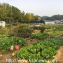 은옥농장 이미지