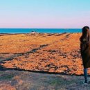 동백목장 이미지