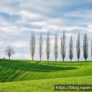 파랑새플란트 치과의원 이미지