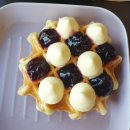 그린도그 청라점(GREEN DOG) | 청라애견동반카페추천 그린도그 GREEN DOG