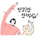 사계절 복코다리 이미지