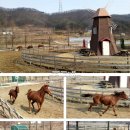 솔향기흙내음 이미지