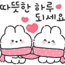 엔젤드림2 이미지