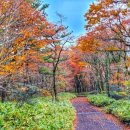 보답 행정사 이미지