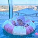 델피노 | 아기랑 델피노 오션플레이 후기