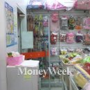 코리아애견샵 이미지