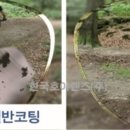 아이젠트리 월배점 네이버블로그