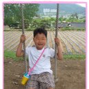 대한민속그네 이미지