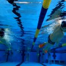 해양경찰로-L 이미지