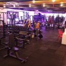 휘트니스 더 레이 이미지