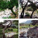 대포마루민박 | 산청 삼장교 지리산 자연 유수풀 캠핑장 평상 화장실 정보 :)