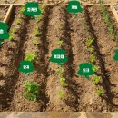 장기농약사 이미지