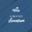 루나지움 | [요가 원데이] 연산동 부산시청 요가원 요가공간 루나지움 후기