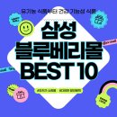 삼성블루베리몰 이용 후기 인기 상품 BEST 10 총정리