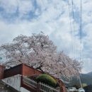 가사문학초등학교 이미지