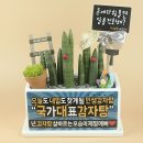 수영감자탕