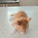 왕장5리 이미지