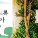 소보록 요보록 이미지