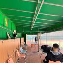 종합운동장 화장실(테니스장) 이미지